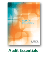 Audit Essentials